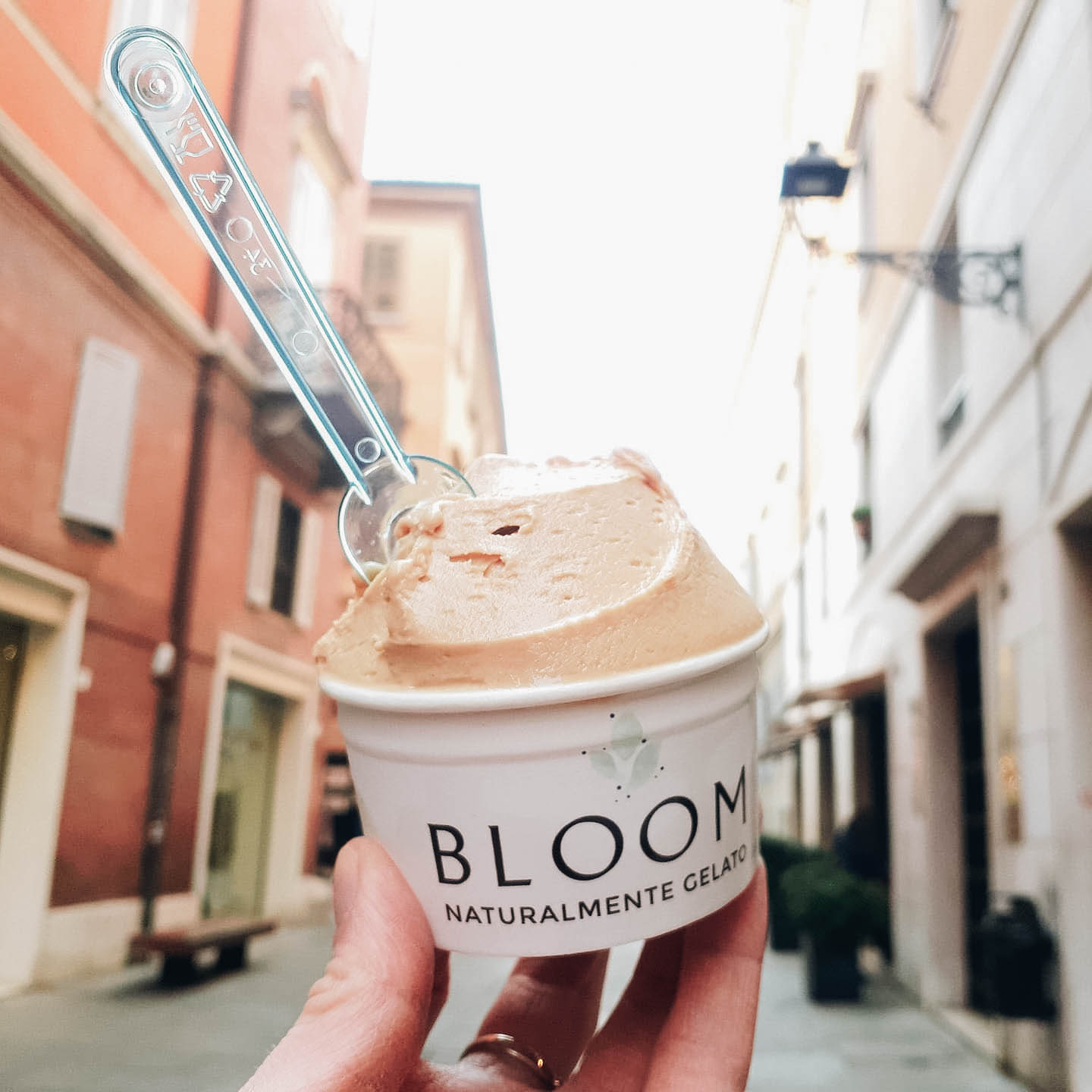 Organizza il tuo viaggio vegano