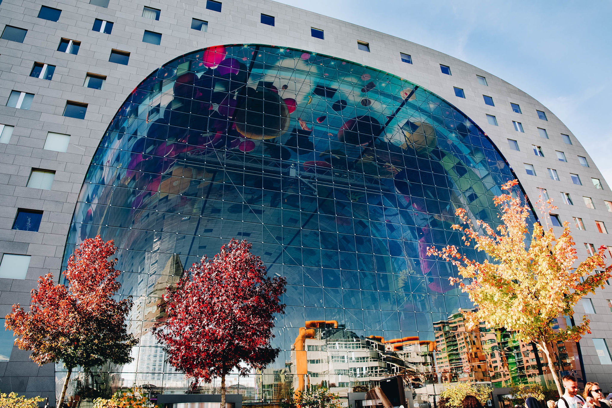 Cosa vedere a Rotterdam: una guida alla città