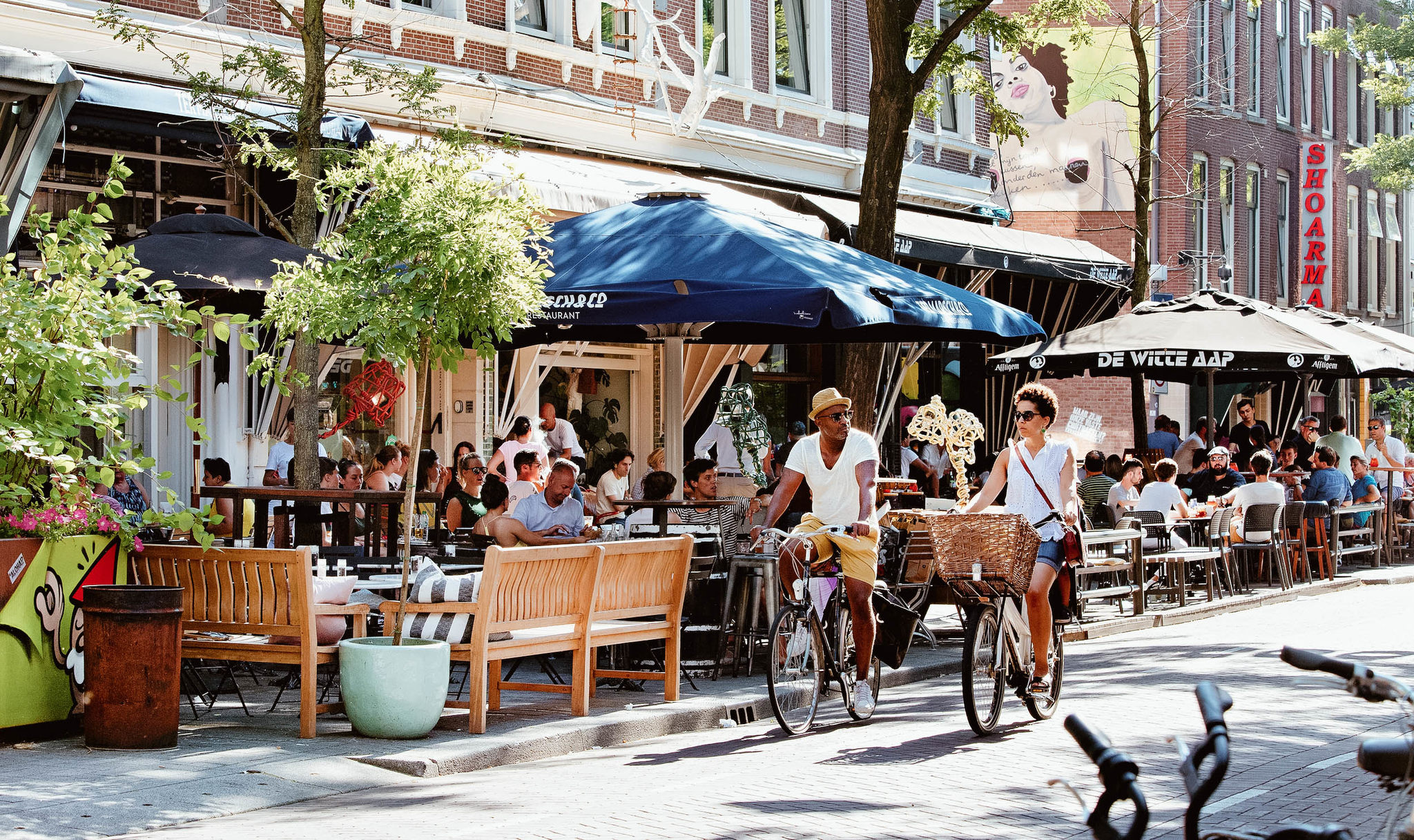 Cosa vedere a Rotterdam: una guida alla città