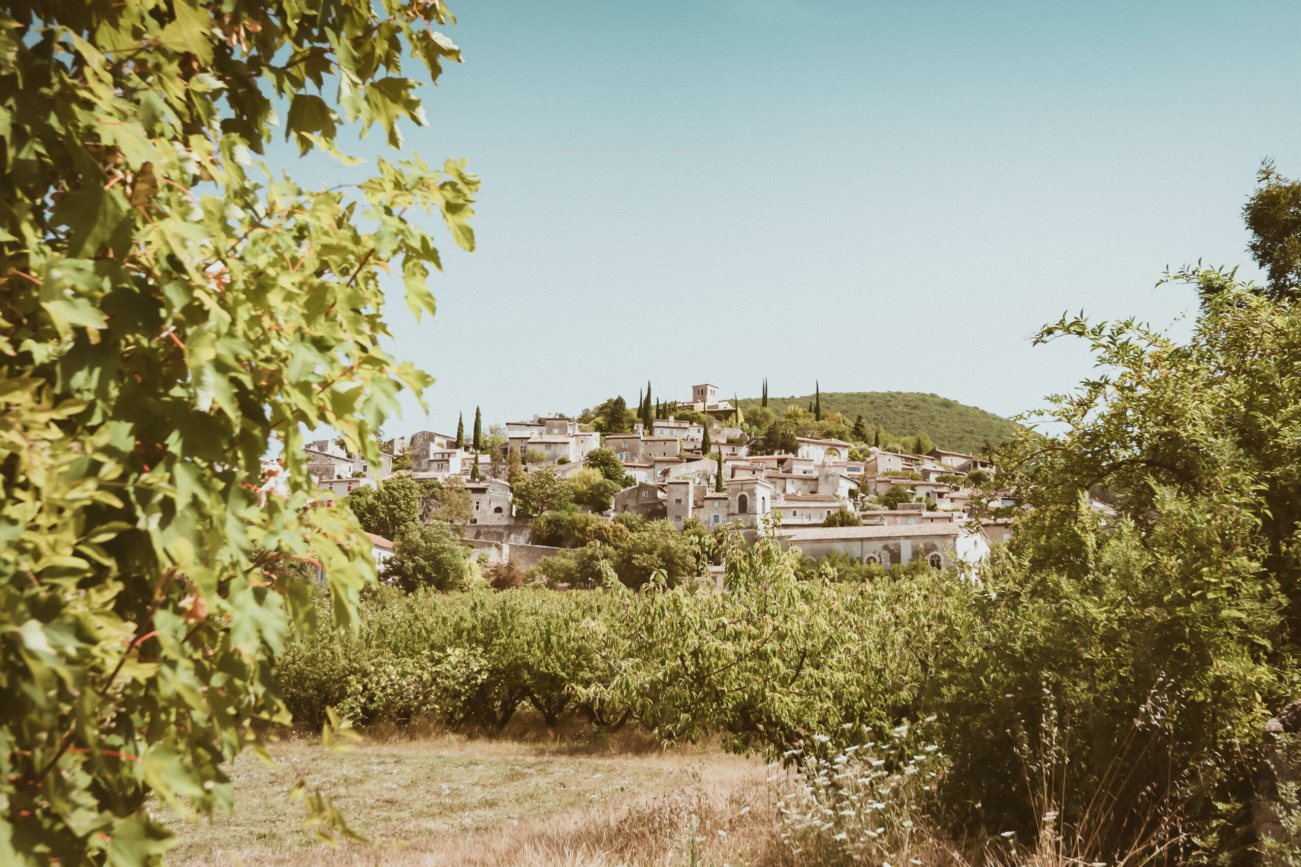 Provenza: perché la regione francese è un’oasi di tranquillità