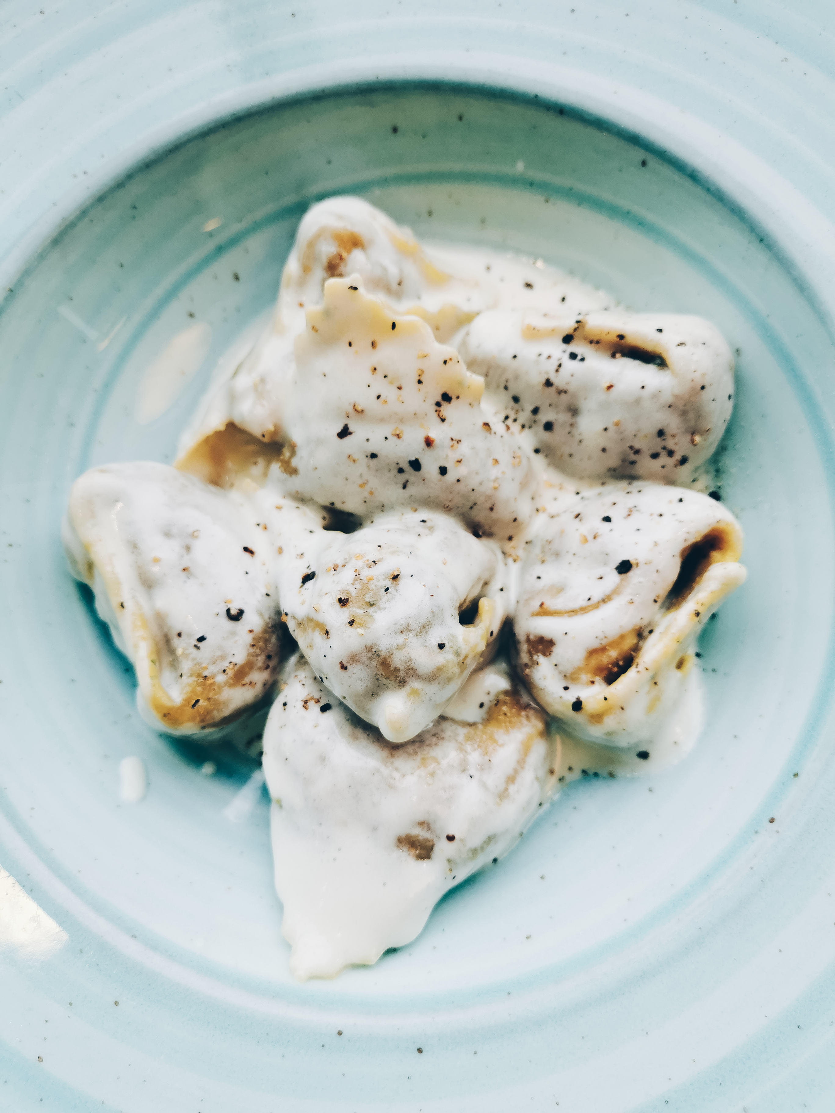 Cosa vedere a Bologna: una guida alla città